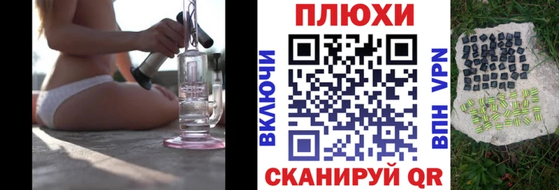 закладки  Вельск  Гашиш Cannabis 