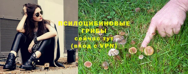 бошки Баксан