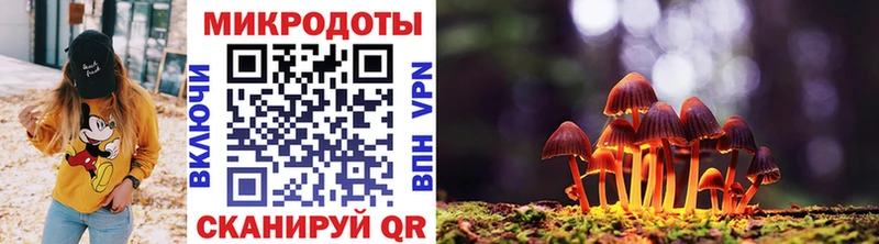 mega как зайти  Вельск  Псилоцибиновые грибы Psilocybe  где можно купить  